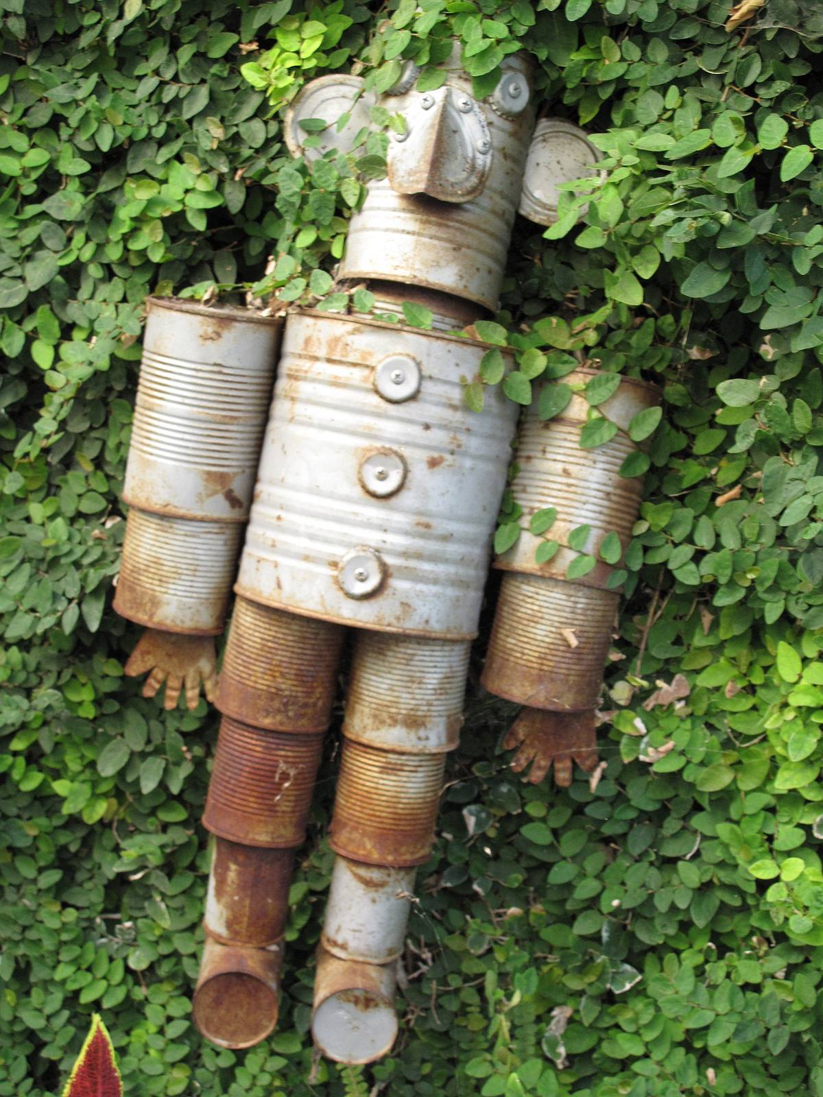 Gardening Ideas