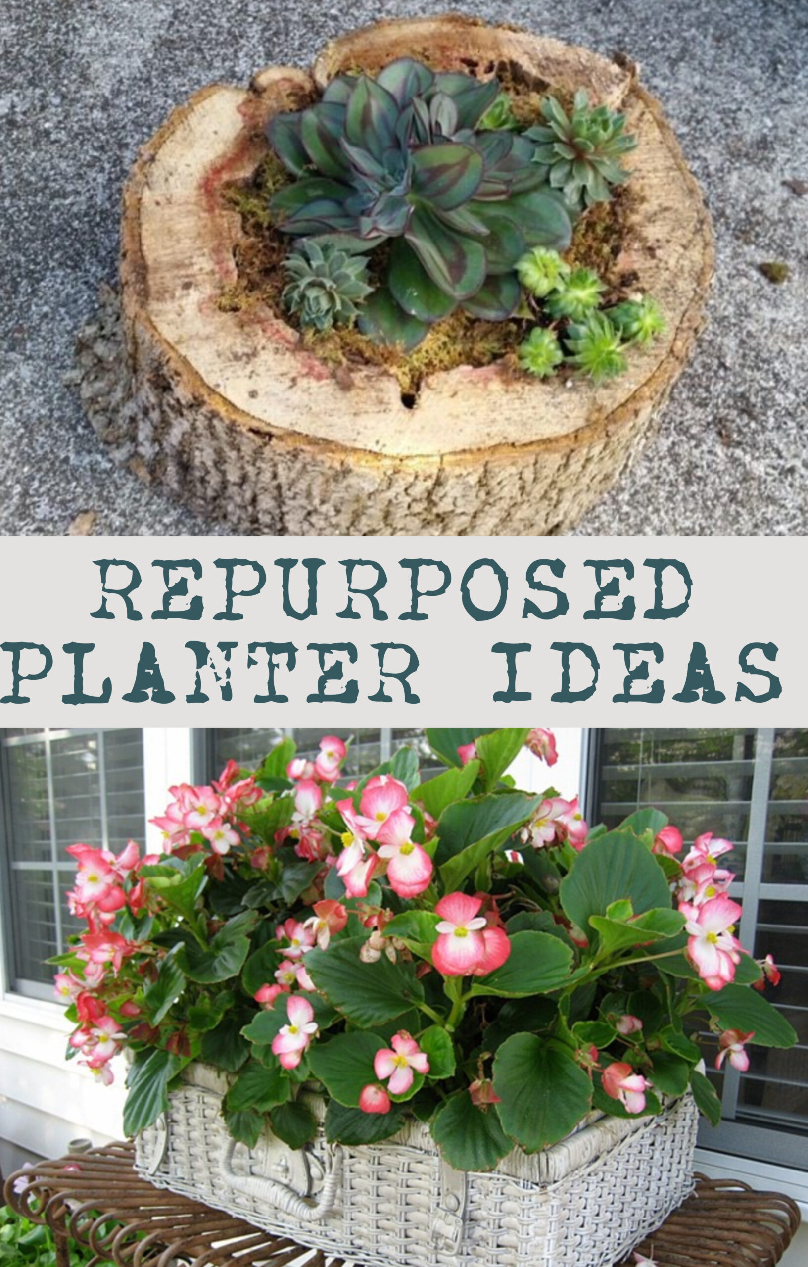Repurposed Garden Planters