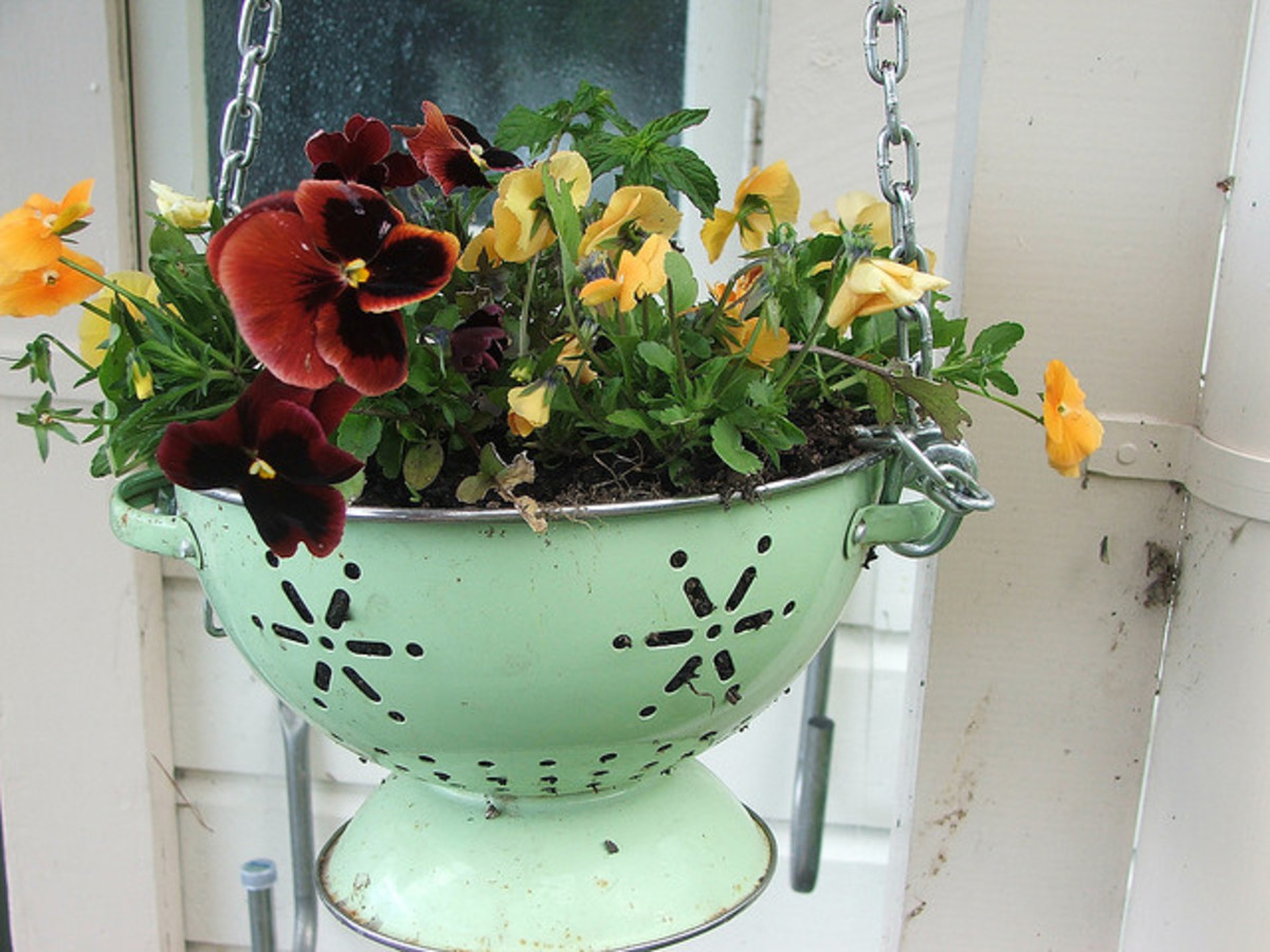 Repurposed Garden Planters