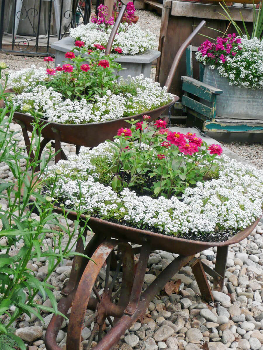 Repurposed Garden Planters