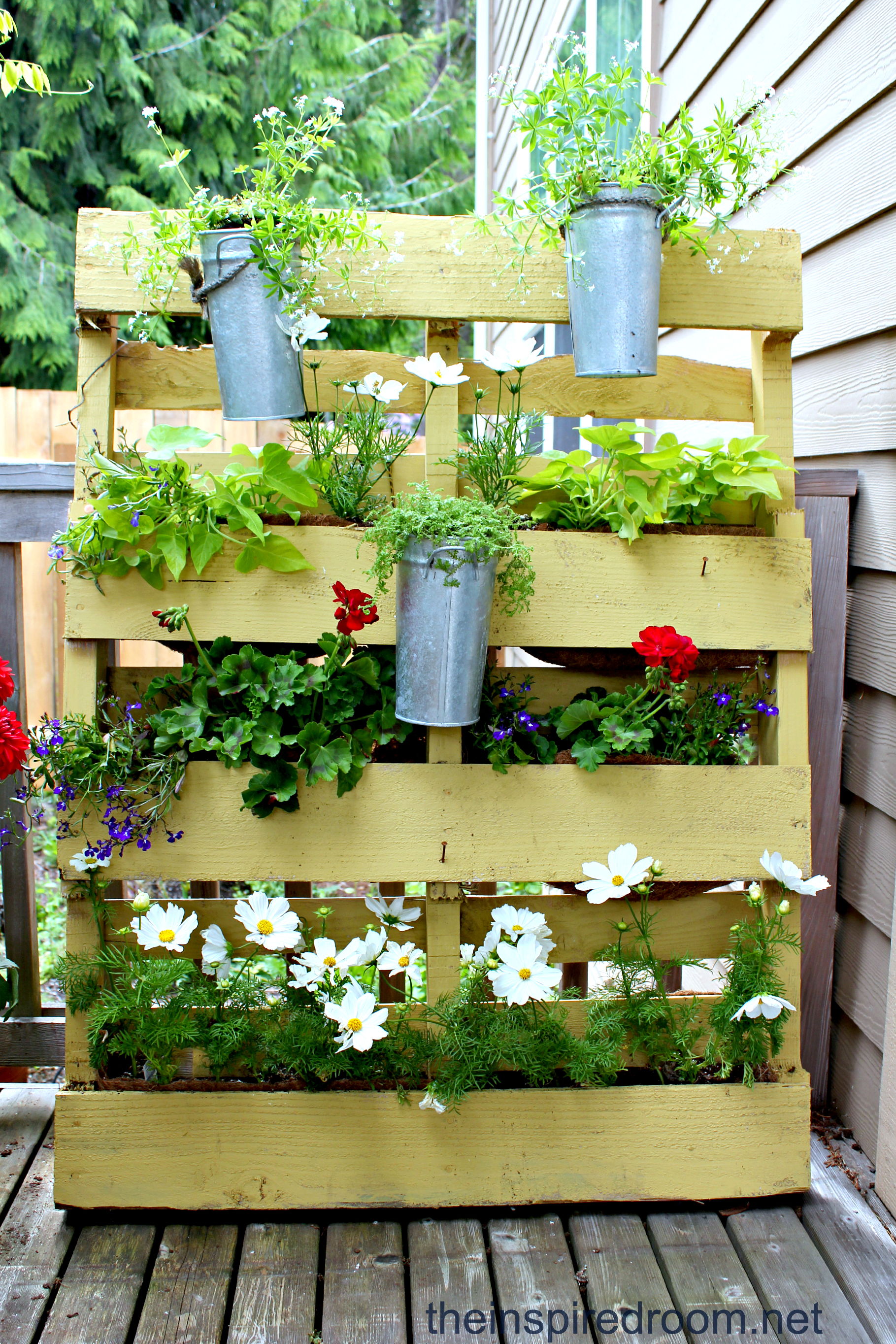 Repurposed Colander Planter