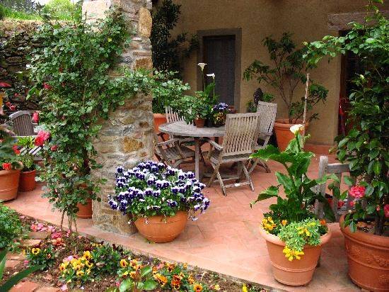 Courtyard Design Ideas