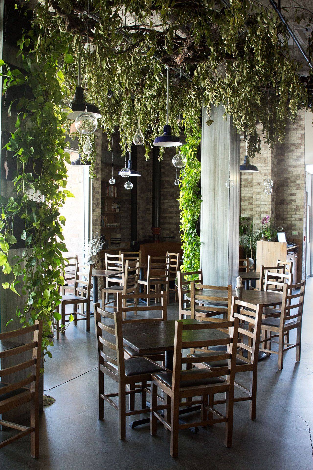 Awesome Tree Interior Design Ideas