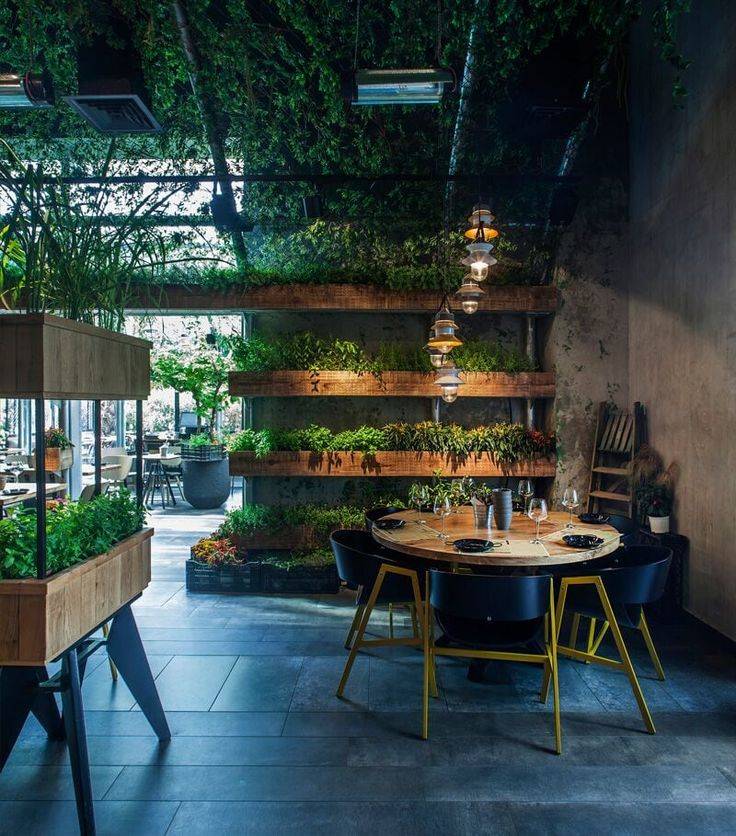Indoor Garden Ideas