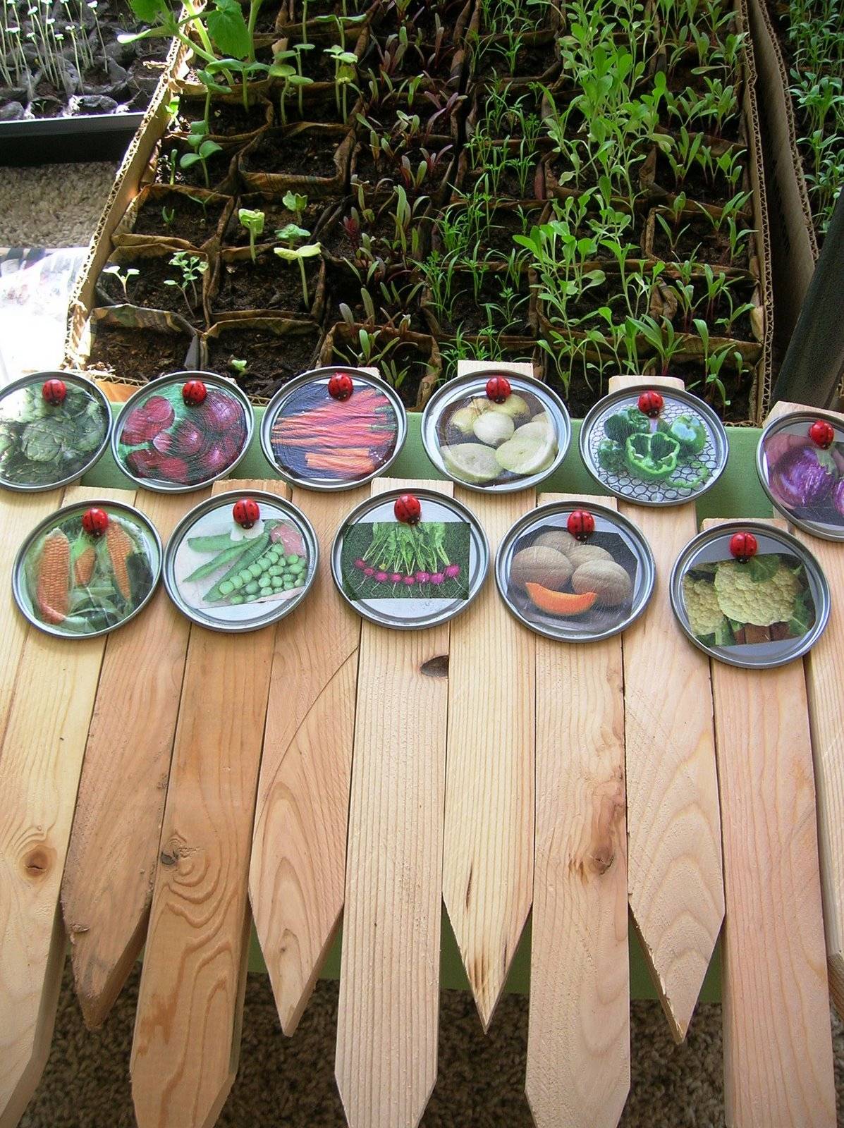 Outside Creation Funny Garden Signs