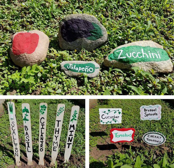 The Vegetable Patch