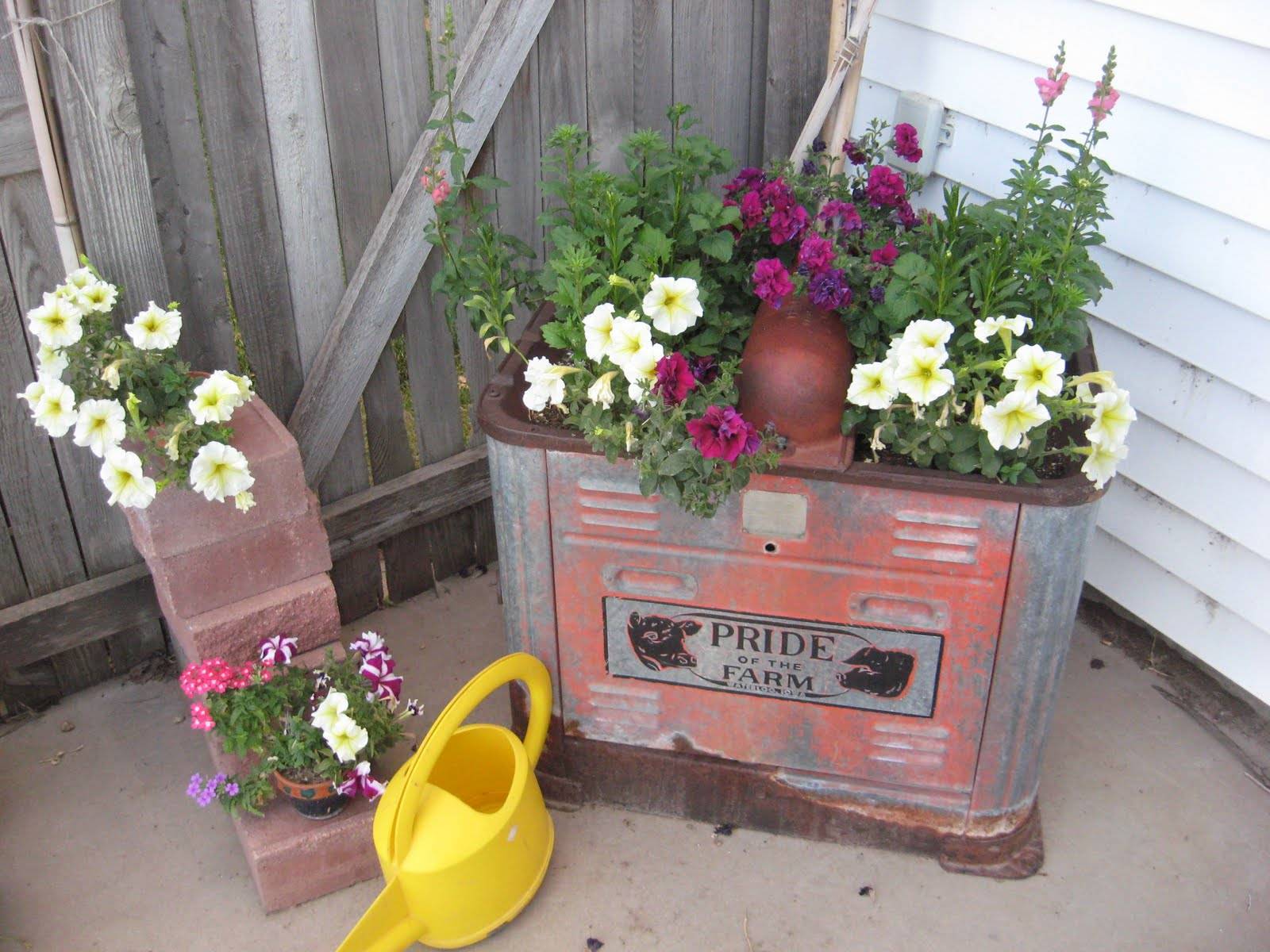 Organized Clutters Junk Garden Photo Tour Video Garden Junk