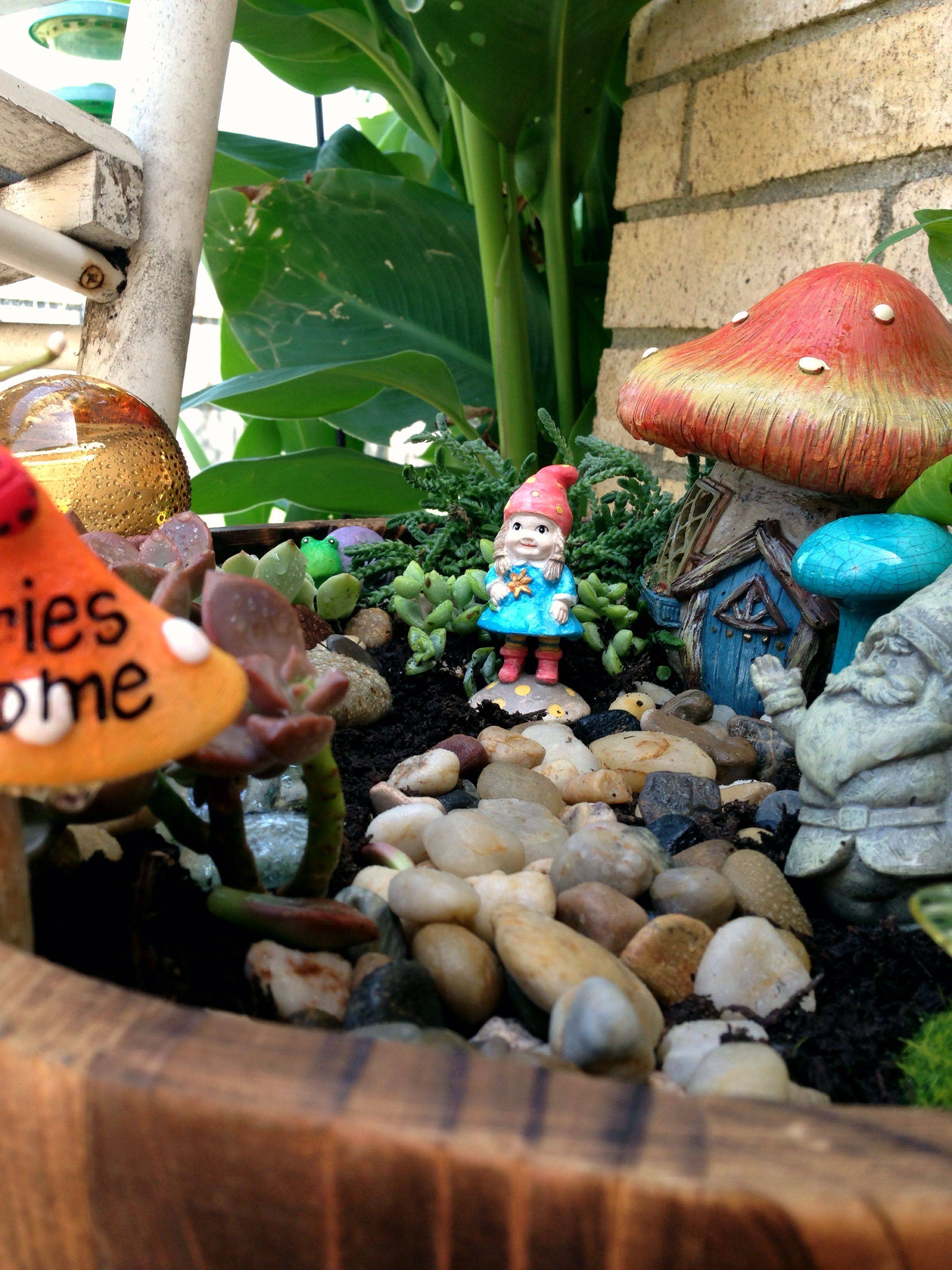 Kitchen Fairy Garden Organized Clutter