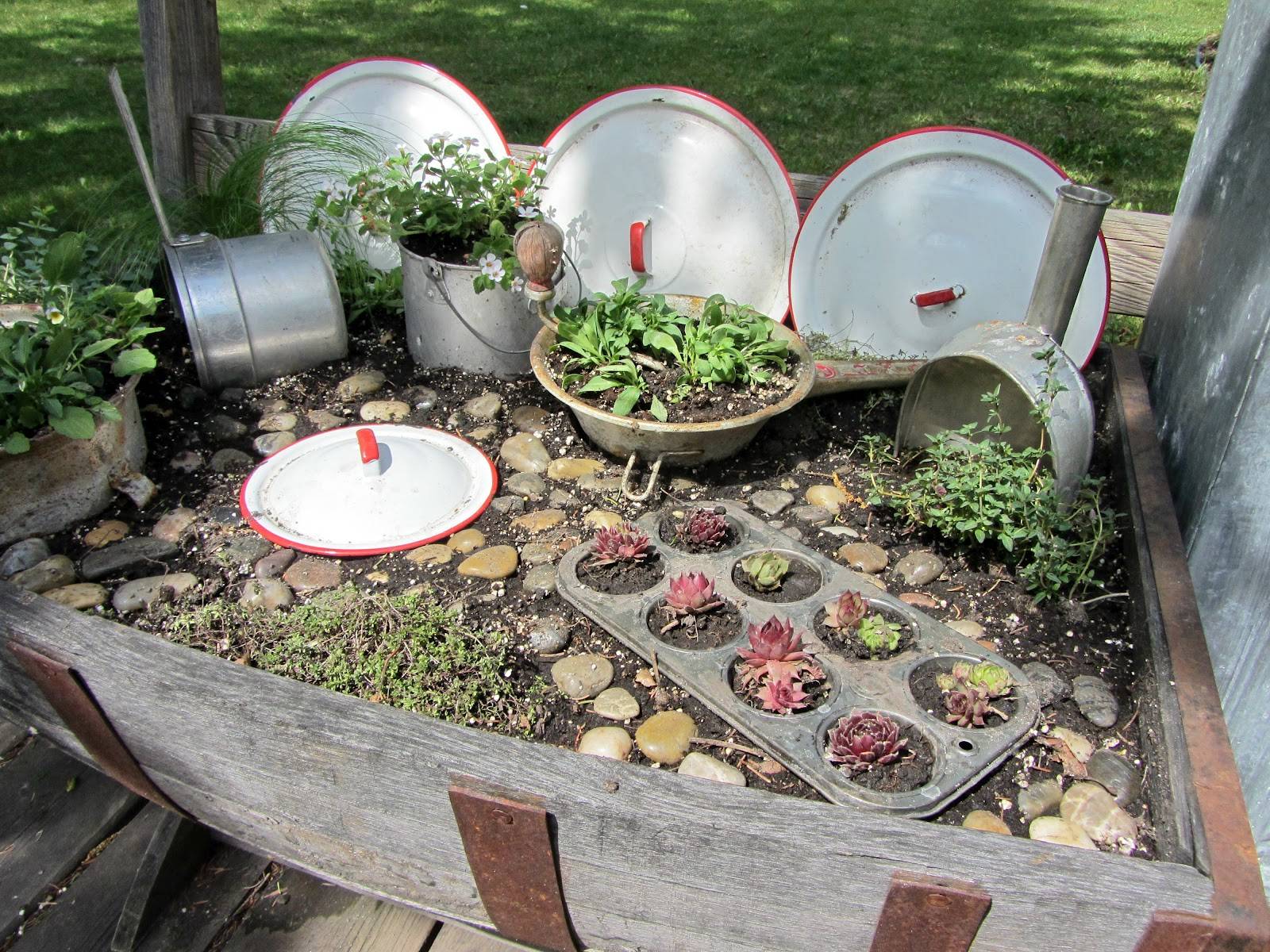 Container Fairy Gardens Garden Junk Forum