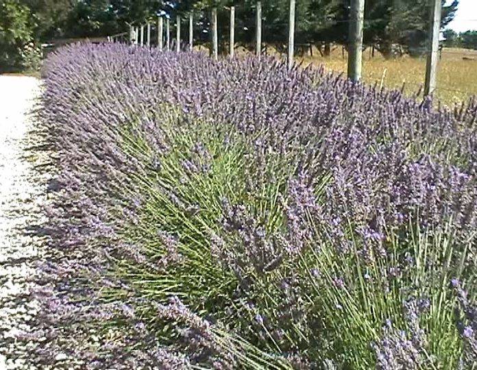 Natural Stone Quiet Corner
