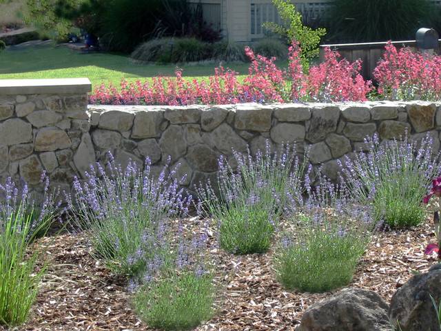 Englishstyle Jewel Box Garden
