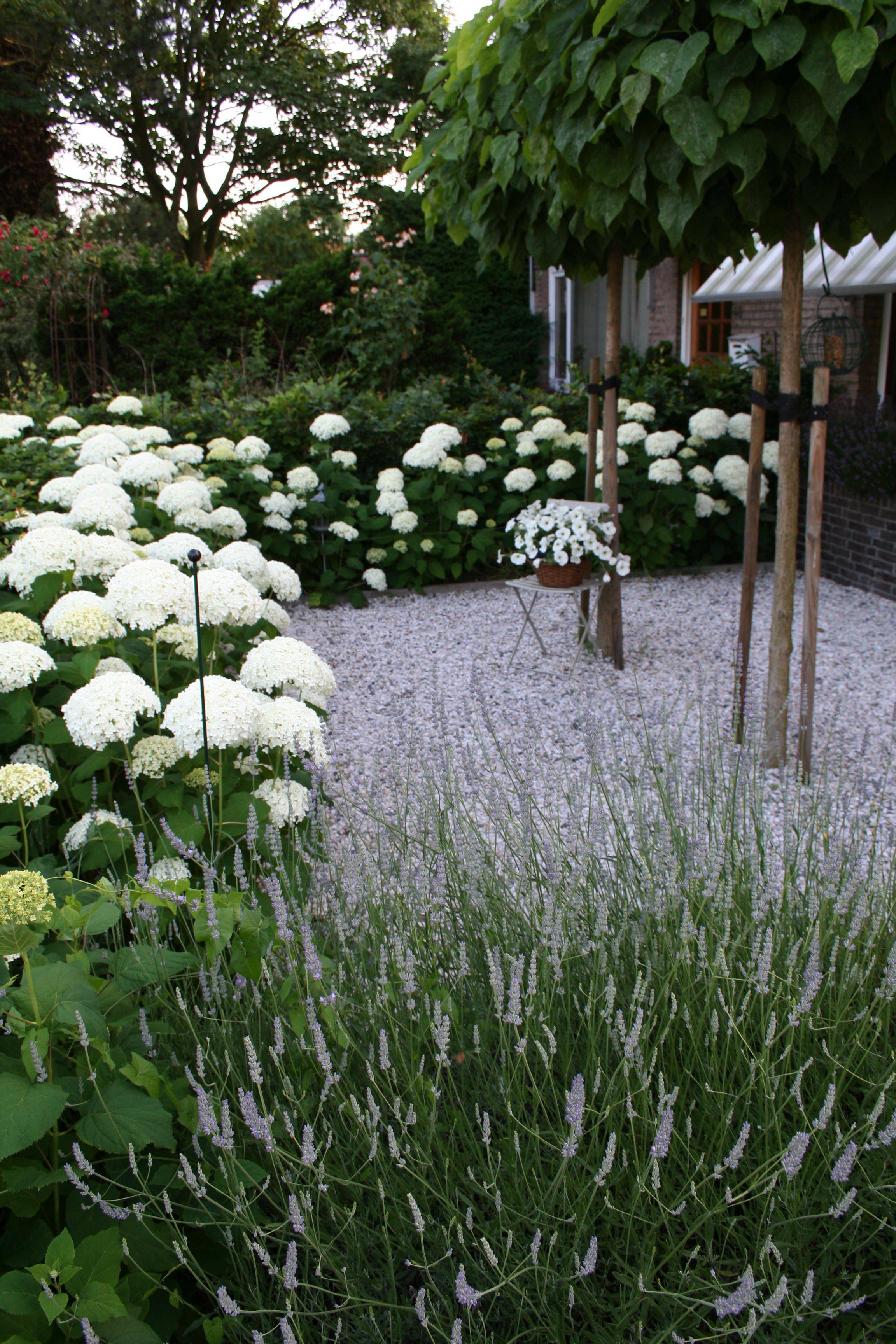 Front Yard Landscaping