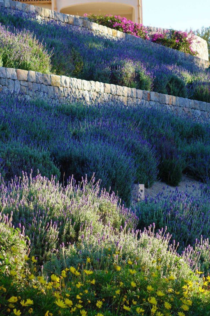Landscapingideas Rock Garden