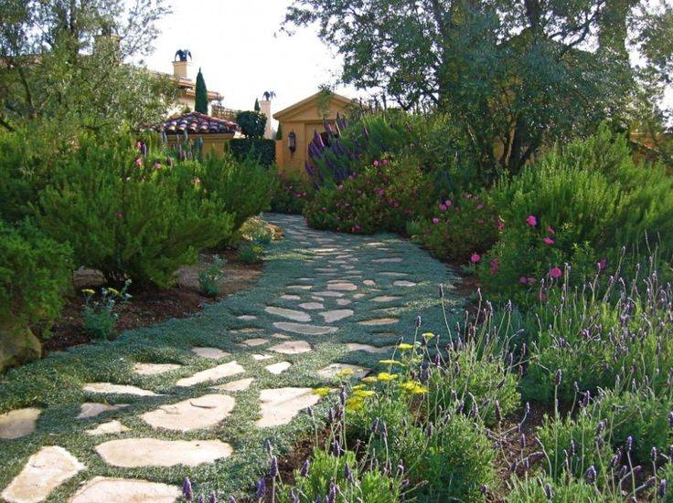 Beautiful Garden Path