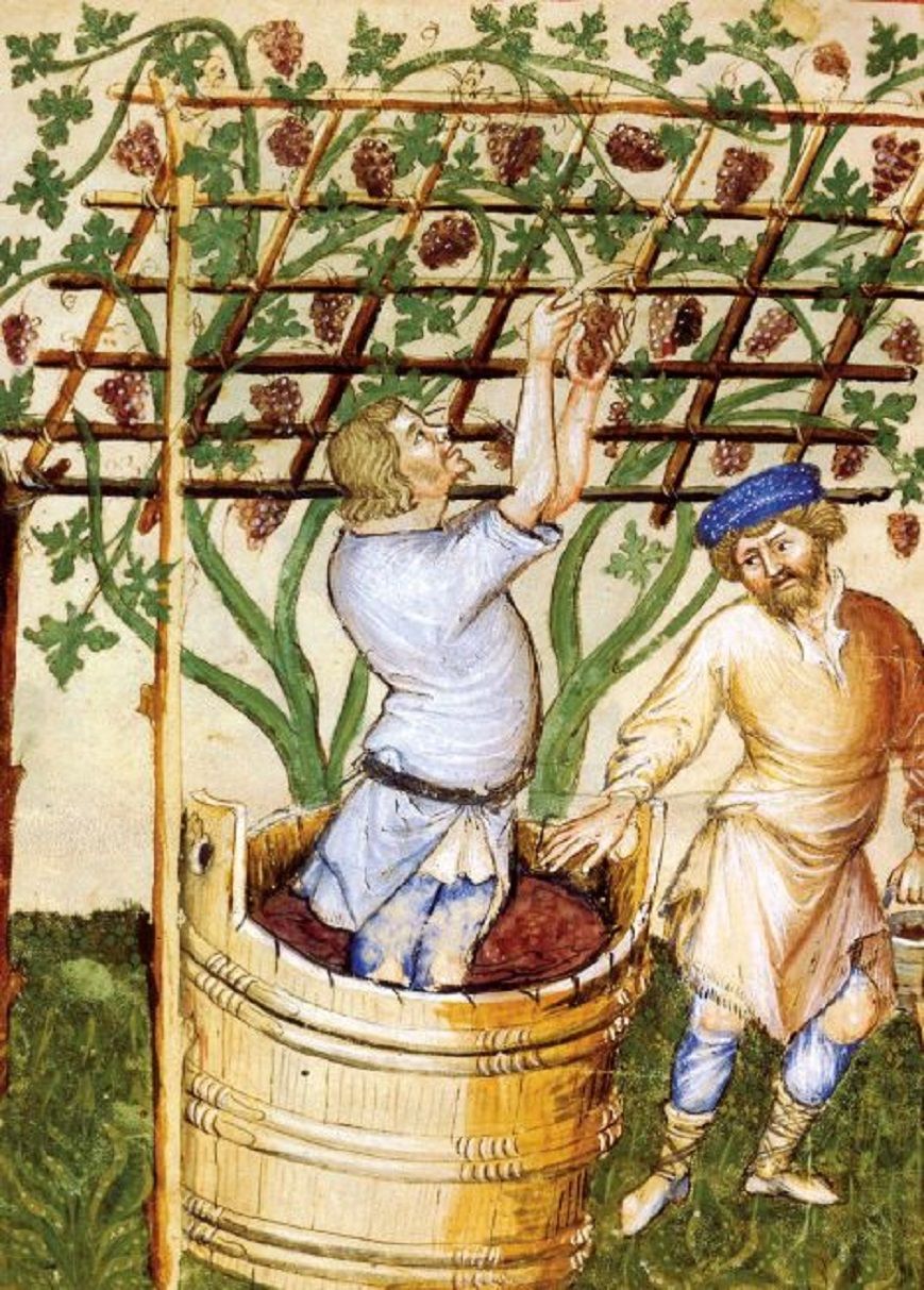 Medieval Garden Illuminations