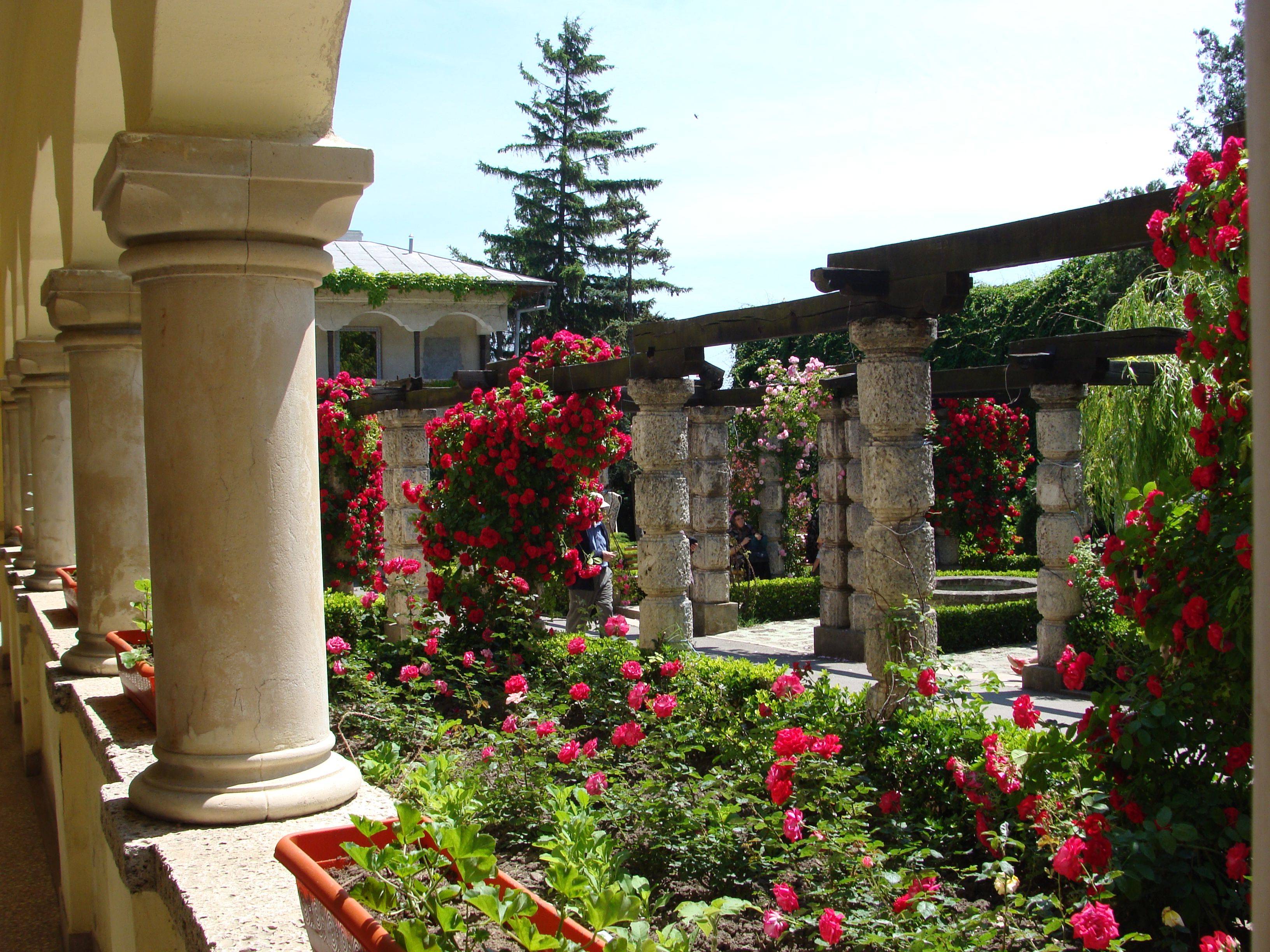Cloister Garden Smallbackyardgardenplanning Beautiful Gardens