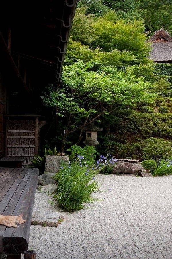 Philosophic Zen Garden Designs