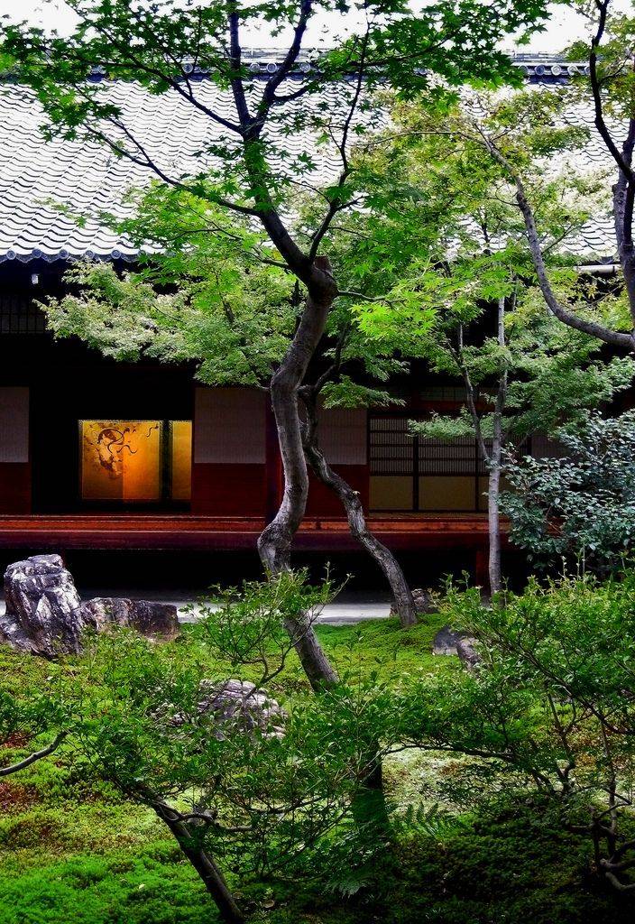 Landscaping Zen Garden