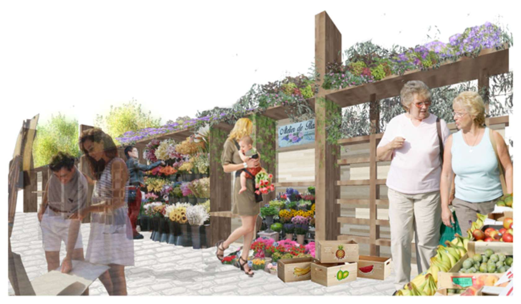 Japanese Garden Japanese Garden