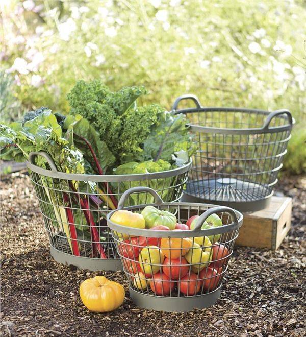 23 Garden Vegetable Basket Ideas You Cannot Miss SharonSable