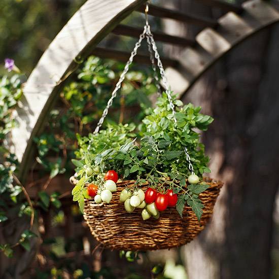 Farmhouse Style