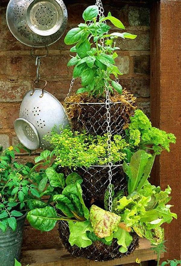 Garden Harvest Basket Harrod Horticultural