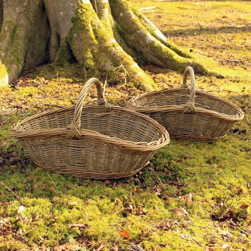 Unique Fruit Vegetable Garden Harvesting
