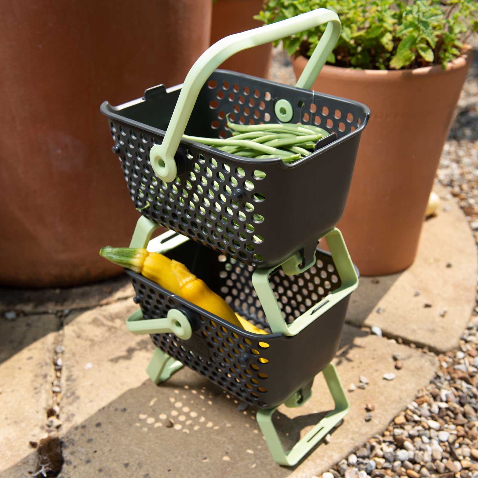 Vegetable Garden Gift Baskets