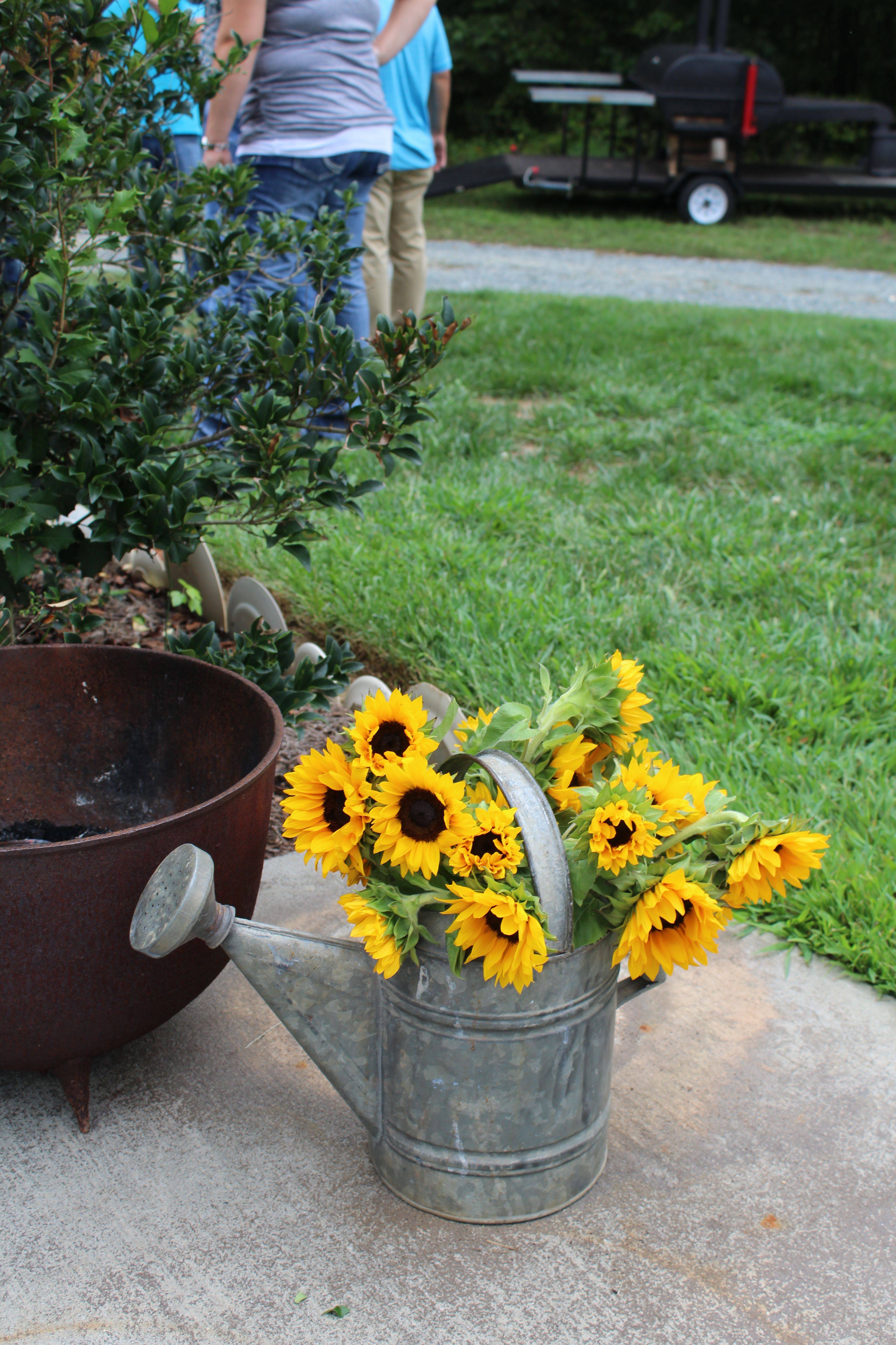 Stunning Watering Cans Decor Ideas