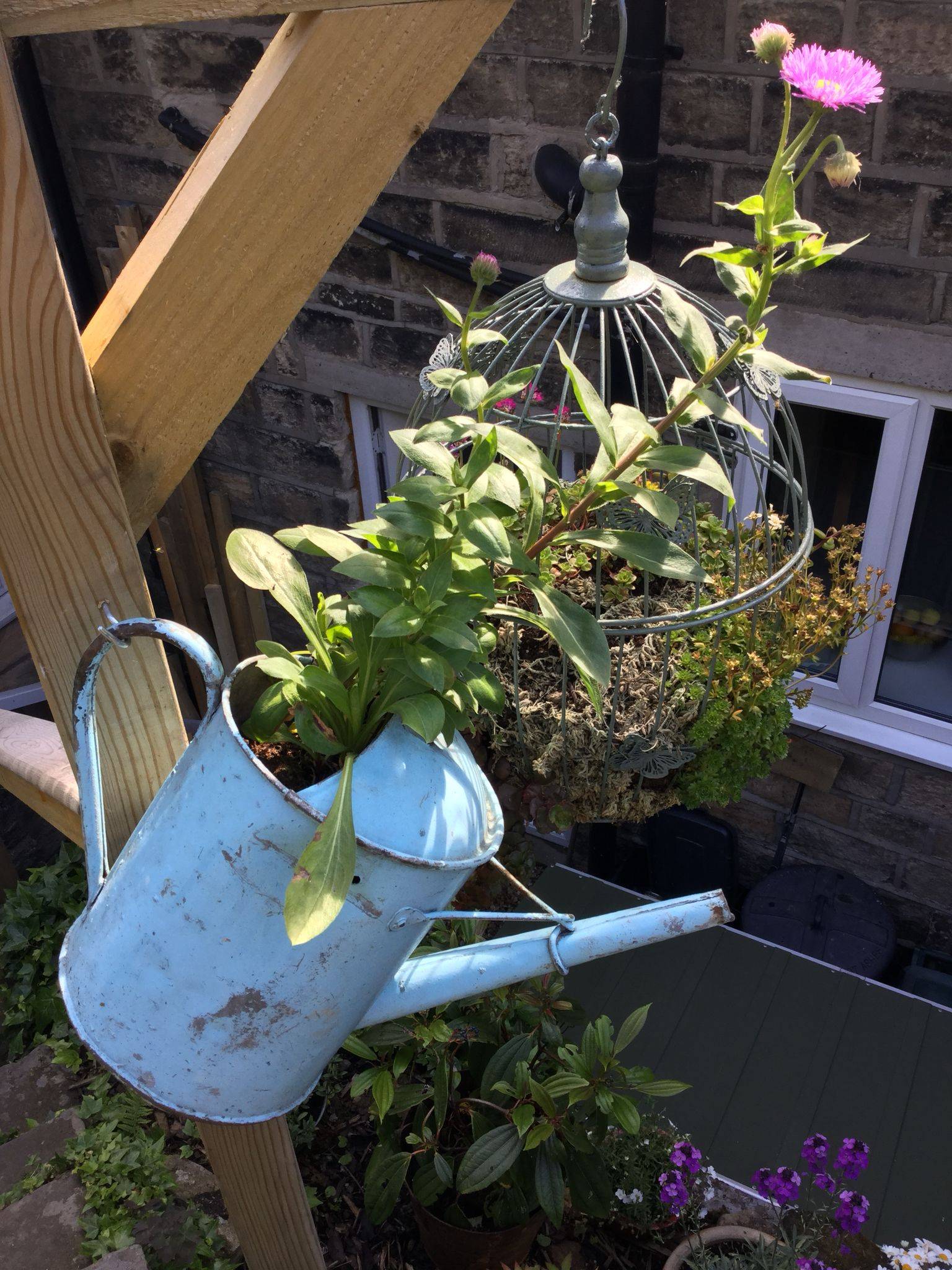 Stunning Watering Cans Decor Ideas