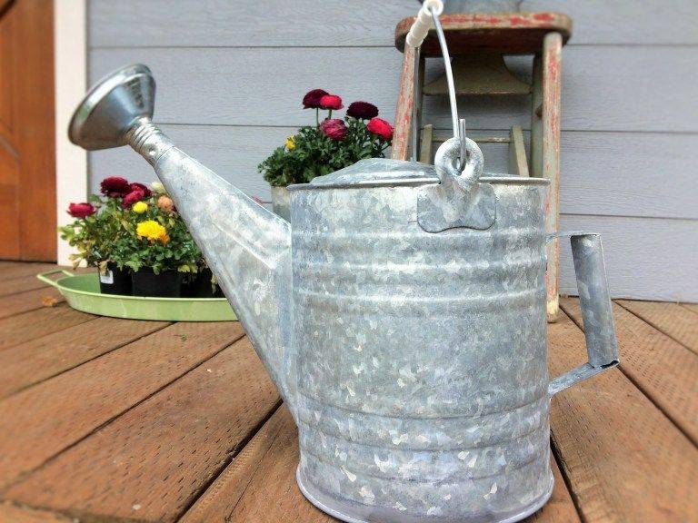 16 Vintage Garden Watering Can Ideas To Consider SharonSable