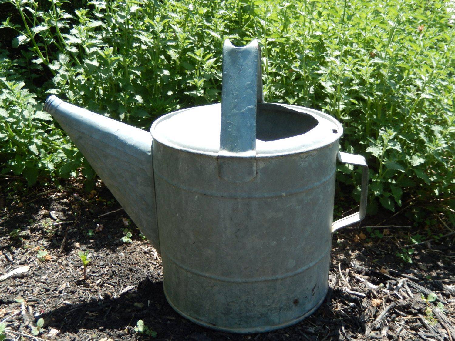 Wonderful Decorations