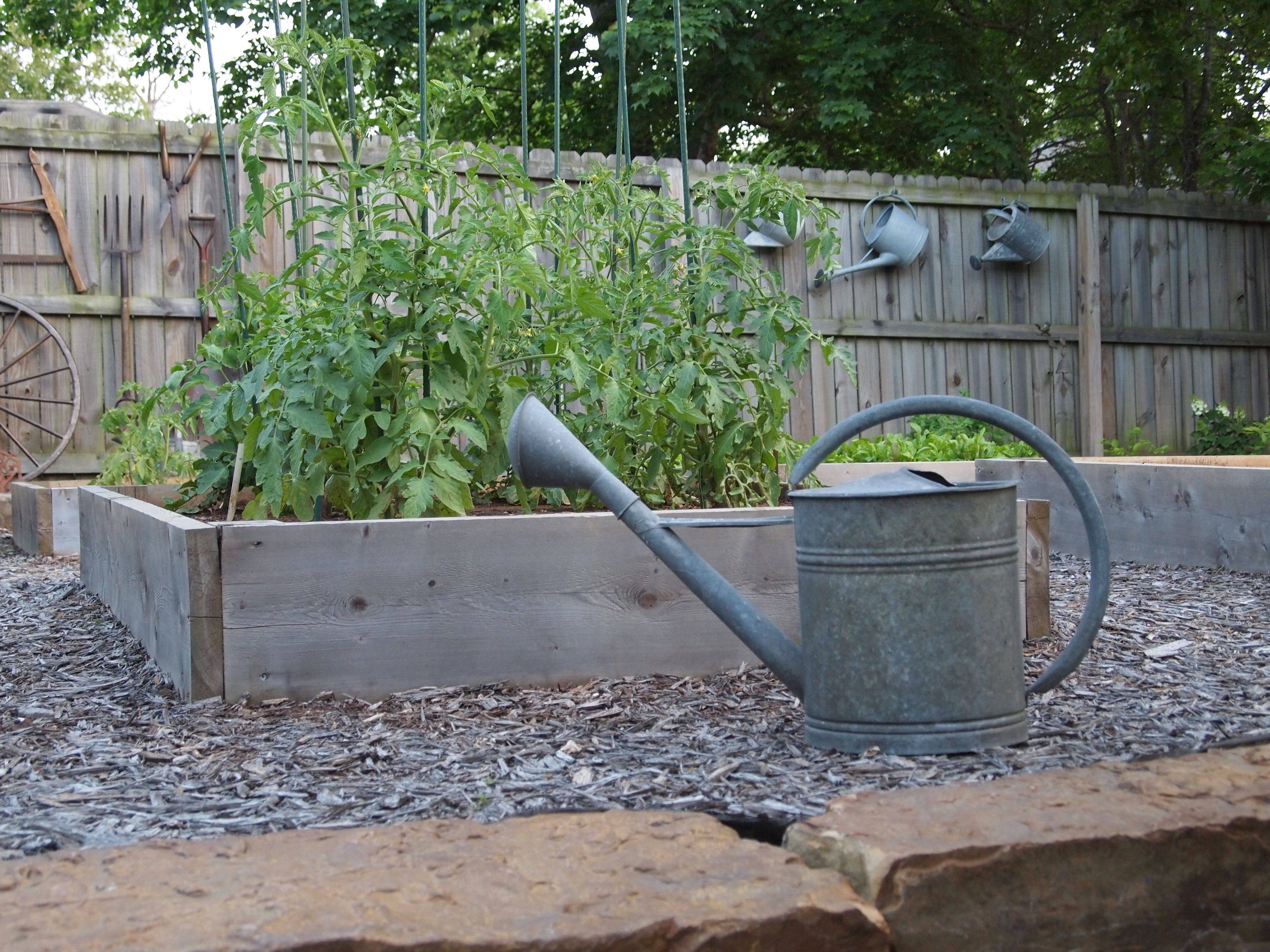 Vintage Watering Cans