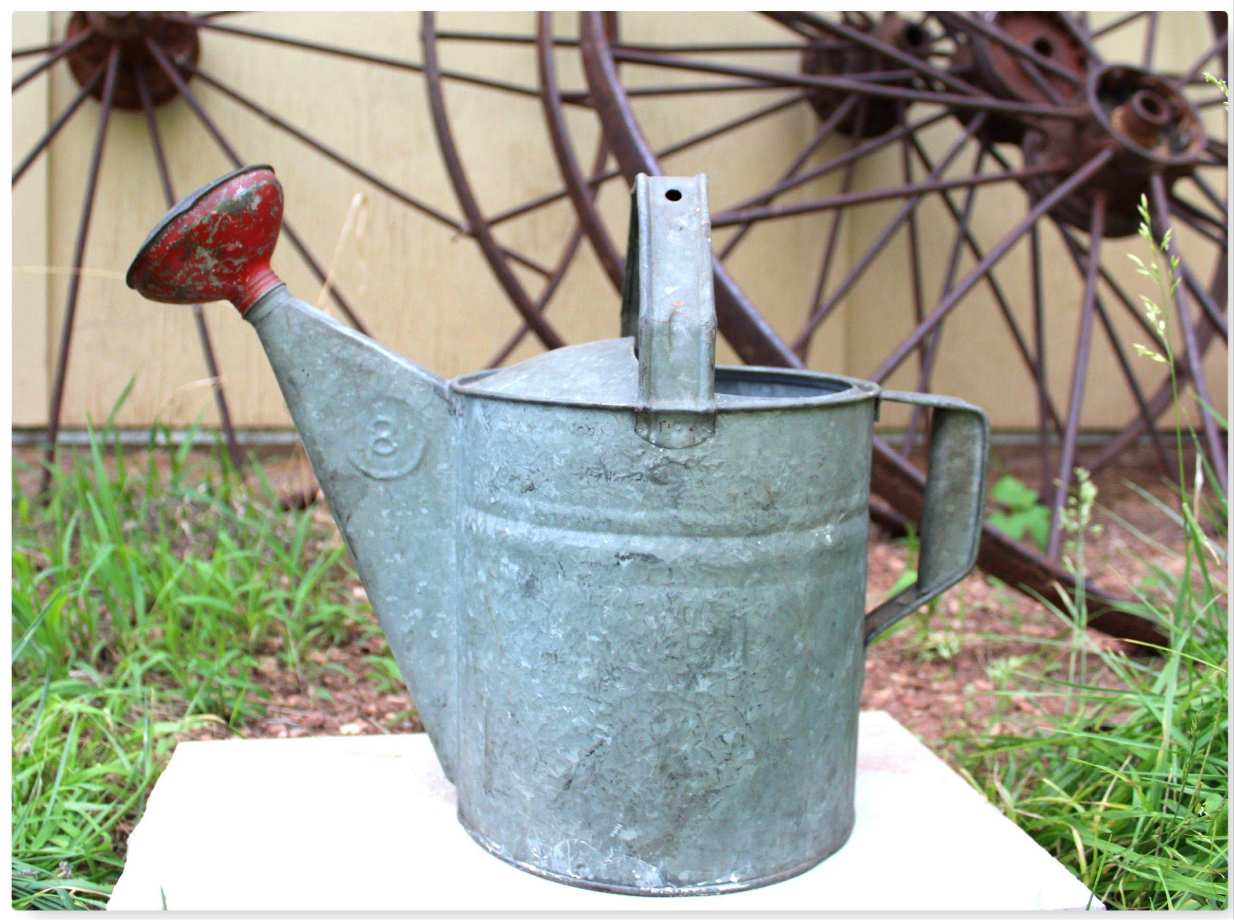 Watering Can Antique With Flowers Watering Can Canning Watering