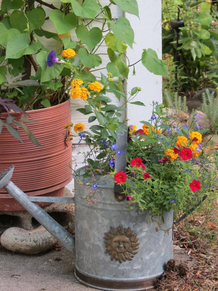 Stunning Watering Cans Decor Ideas