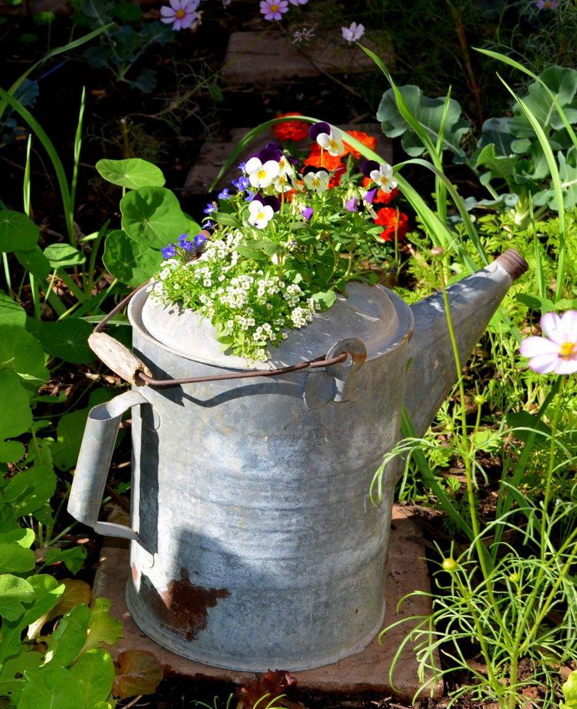 14 Garden Watering Can Ideas To Consider SharonSable