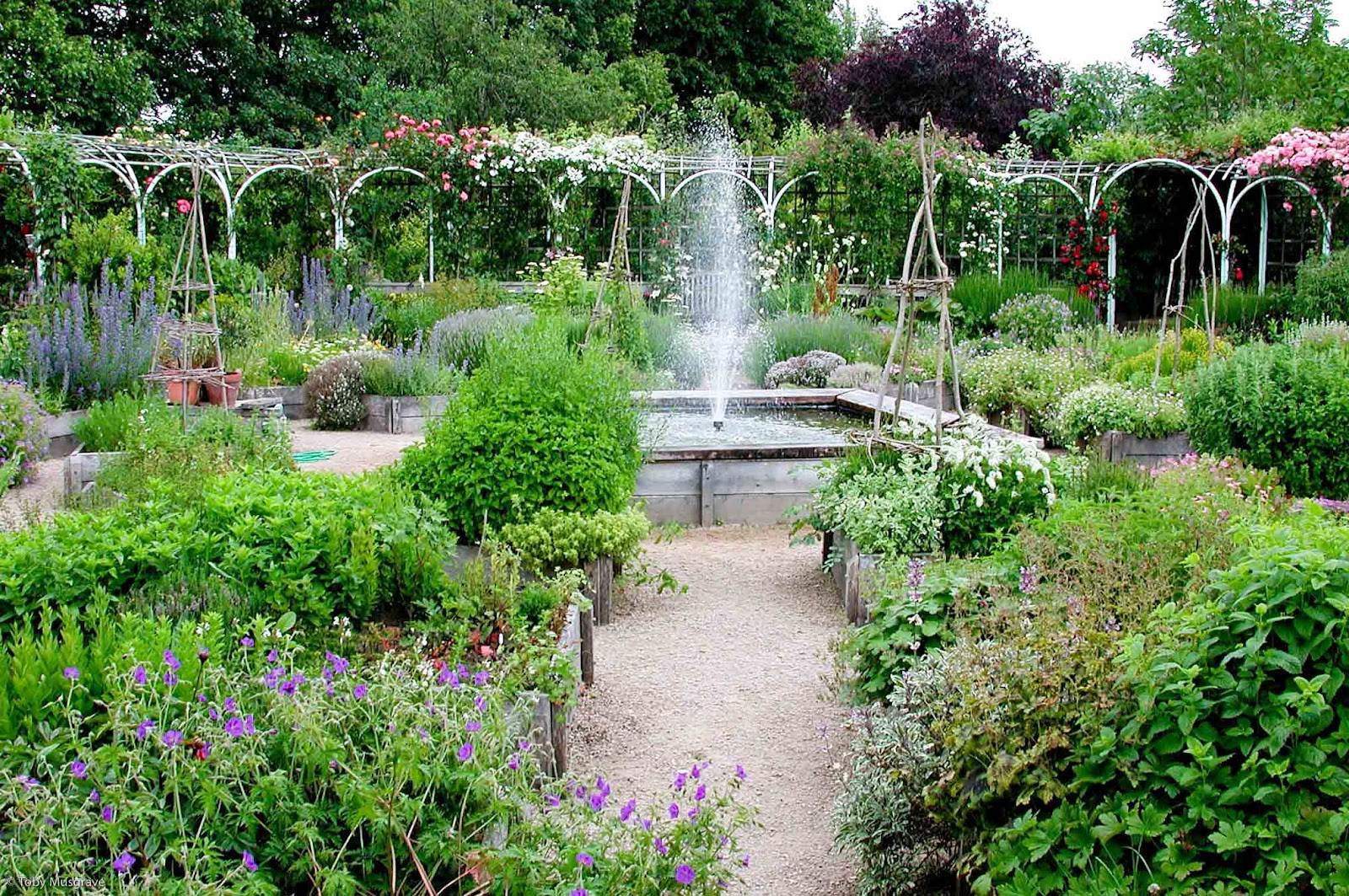 Fantastic Shade Garden Ideas