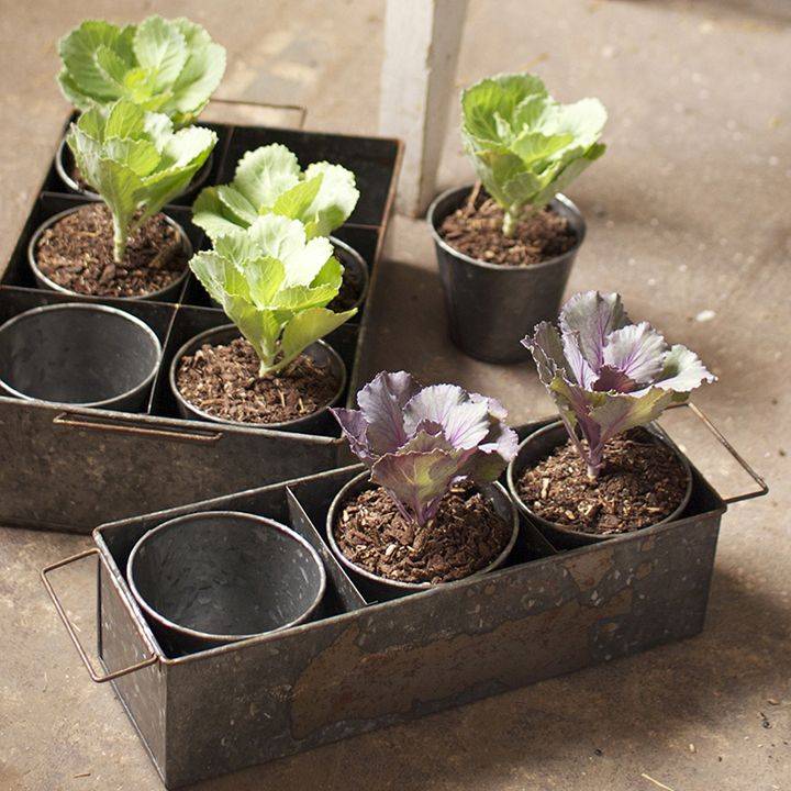 Country Garden Decor