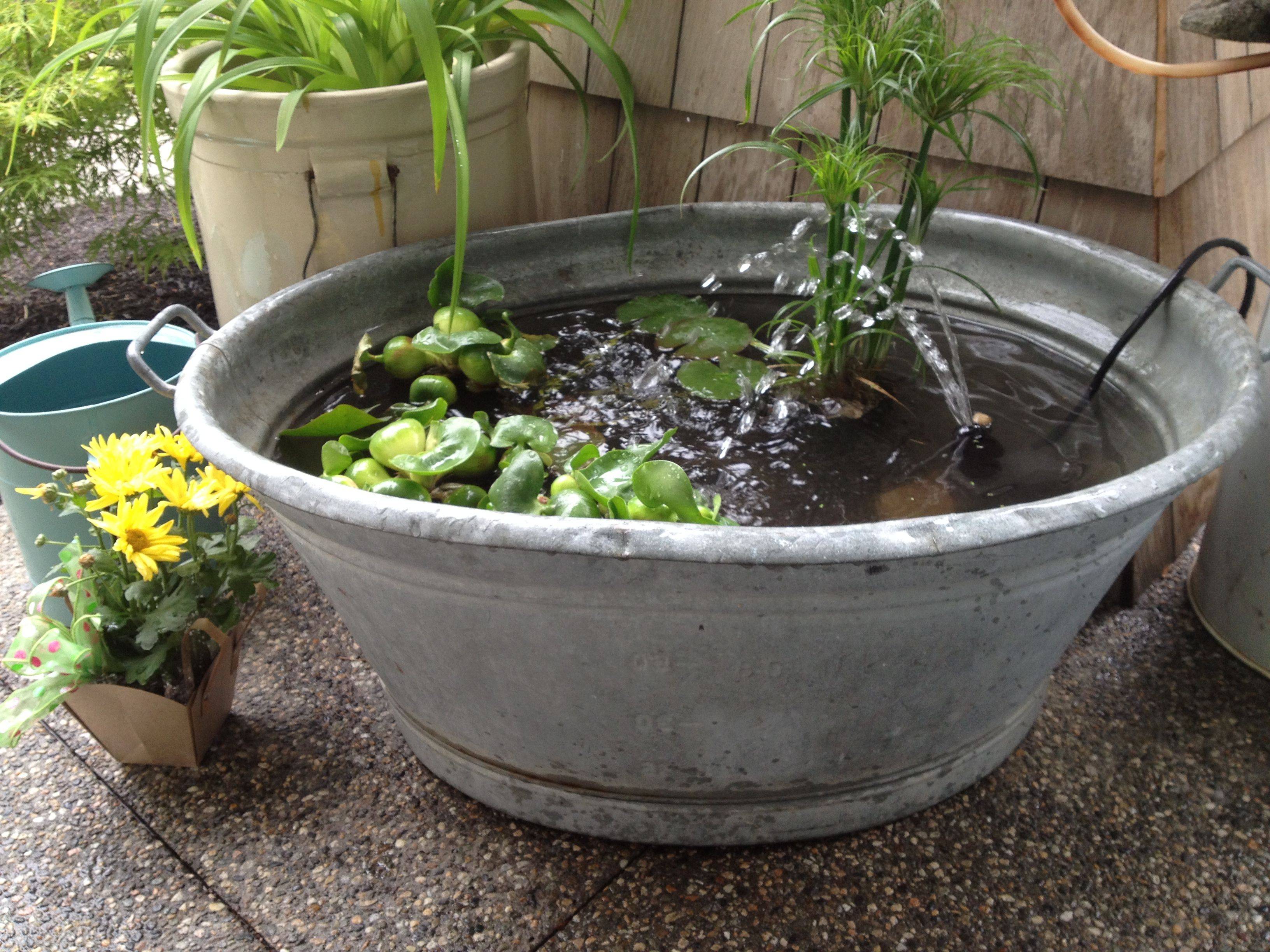 Tub Water Garden Water Gardens