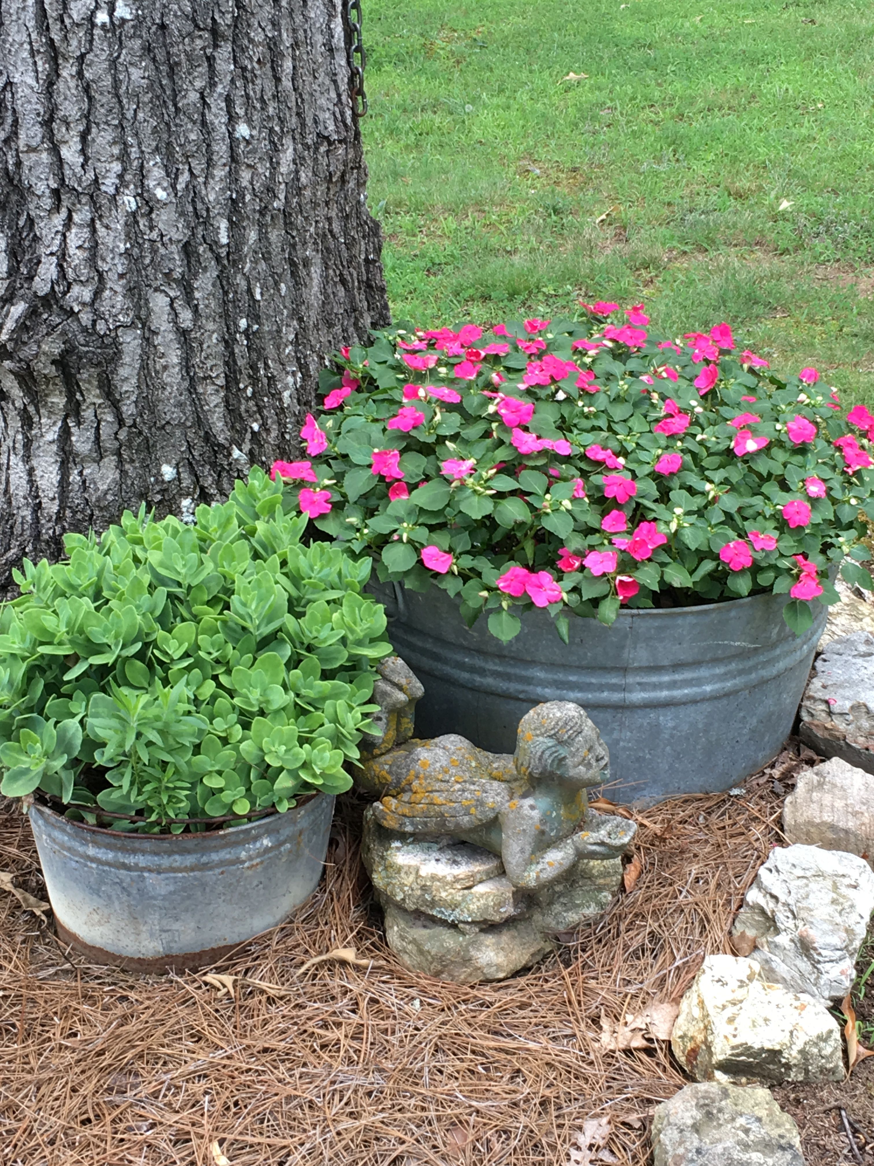 Container Gardening