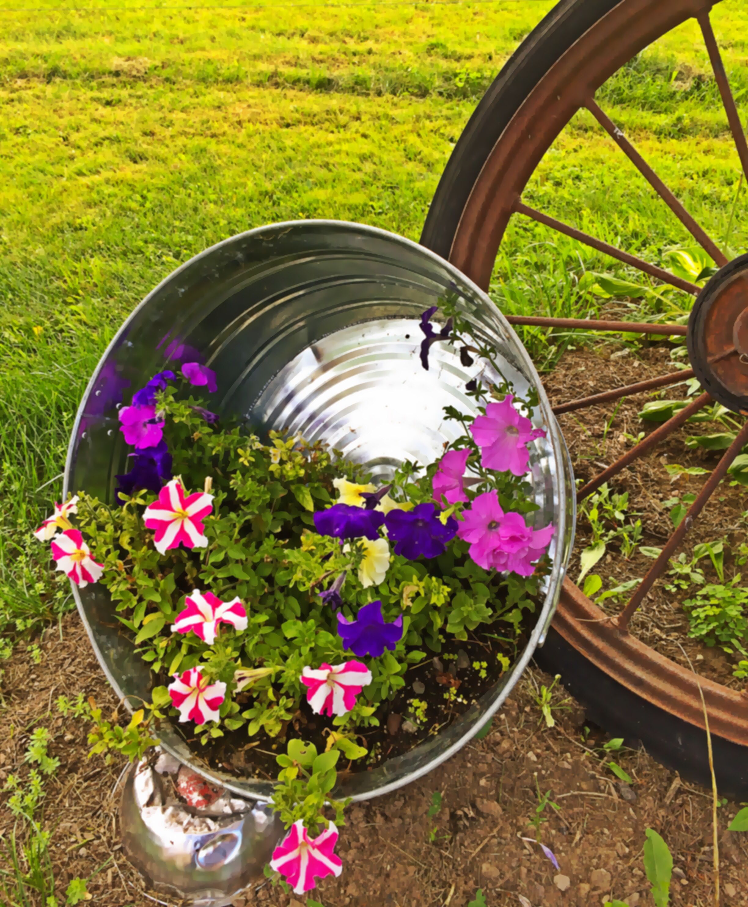 Galvanized Tub Projects