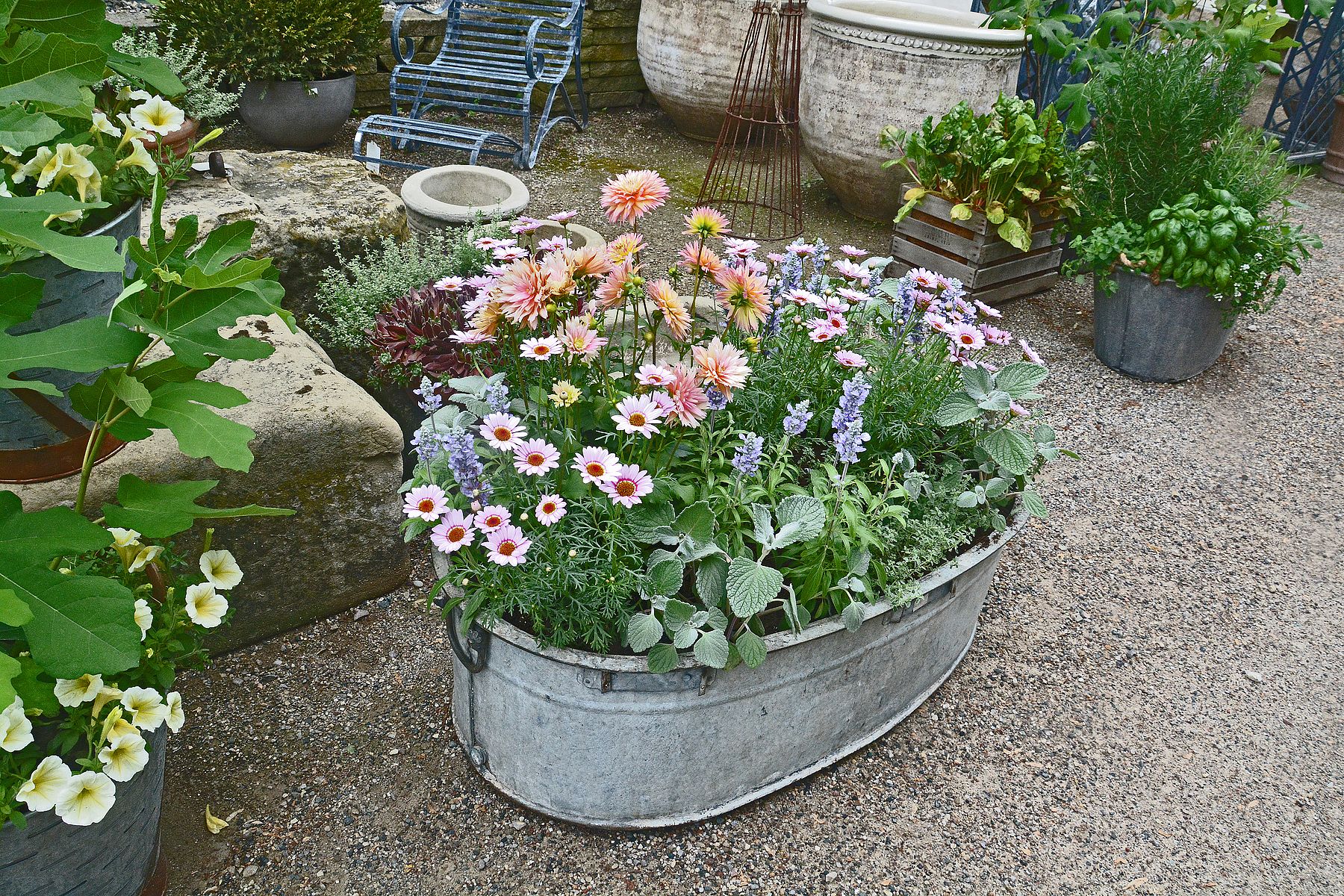 Container Gardening
