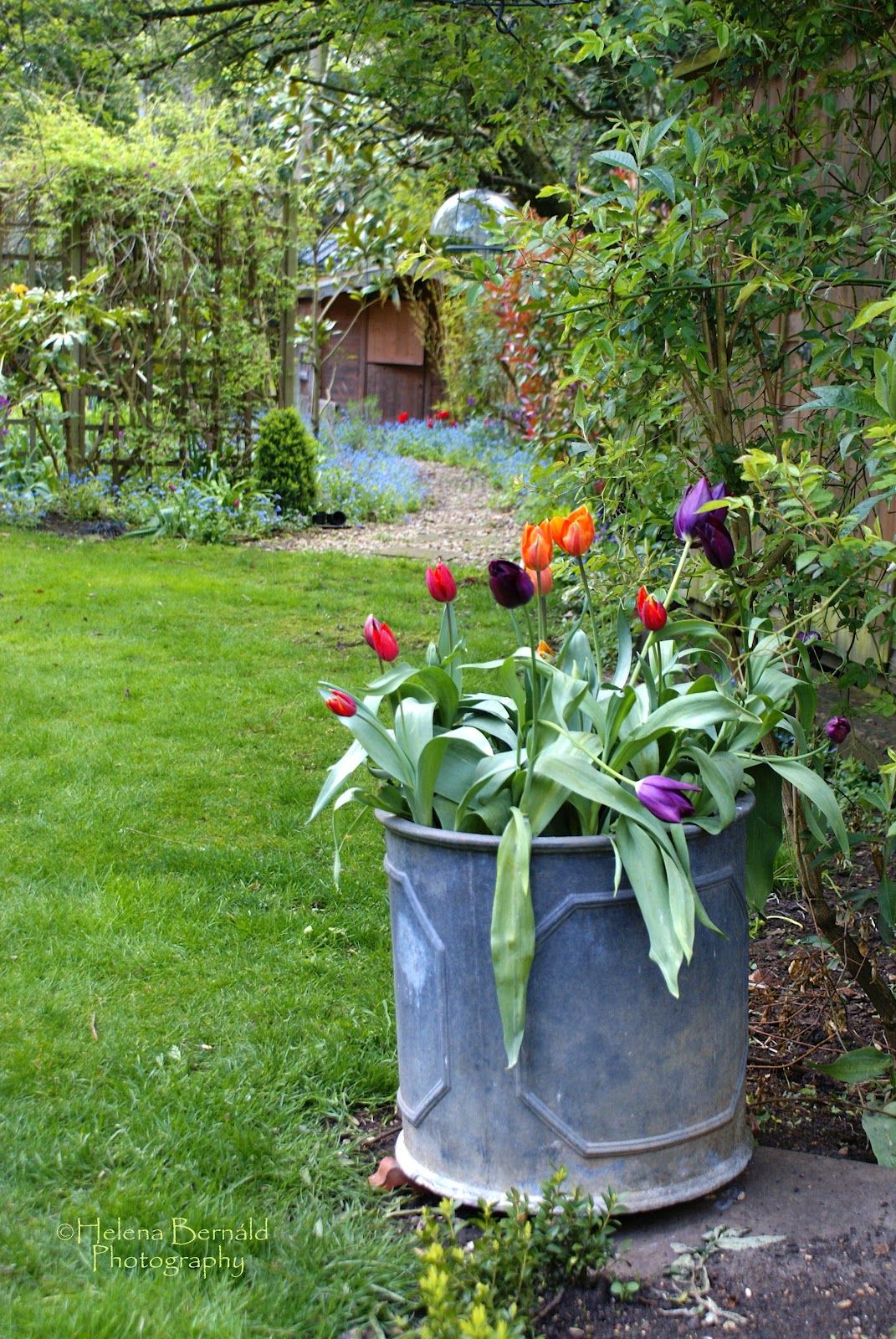 19 Galvanized Tub Container Garden Ideas You Cannot Miss SharonSable