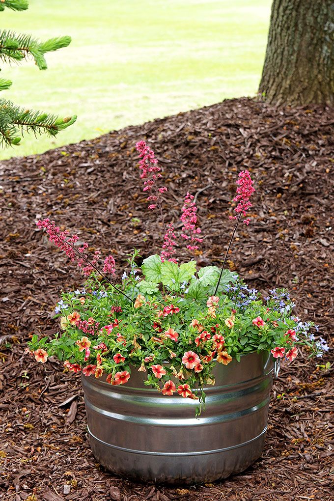 The Swenglish Home Garden Containers