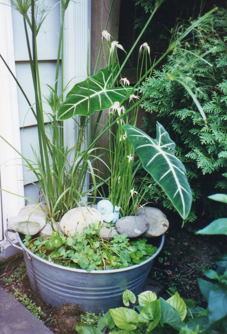 Vintage Galvanized Garden Tub Planters