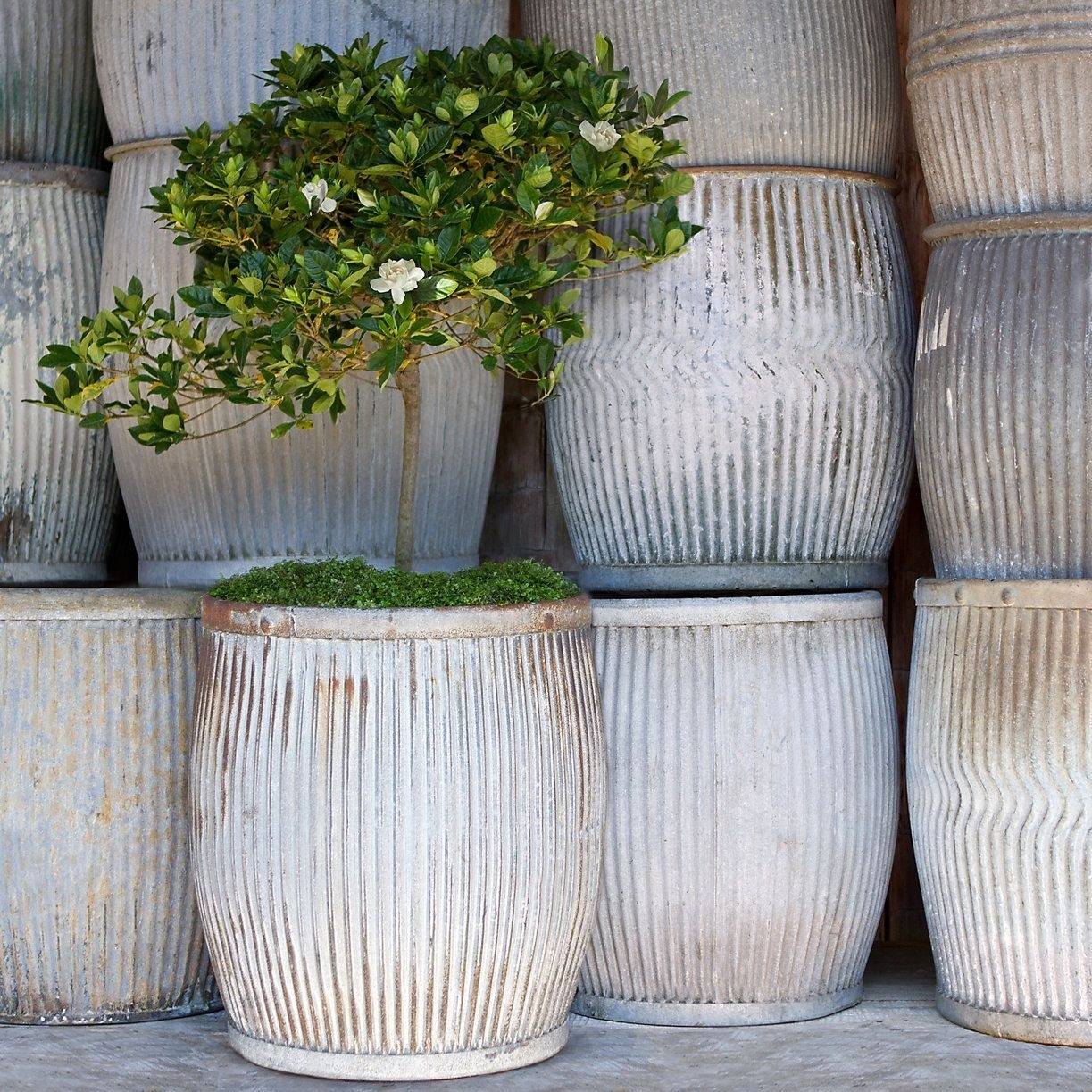 Appealing Rust Patina Planter Ideas Diy Rusty Metal Planters