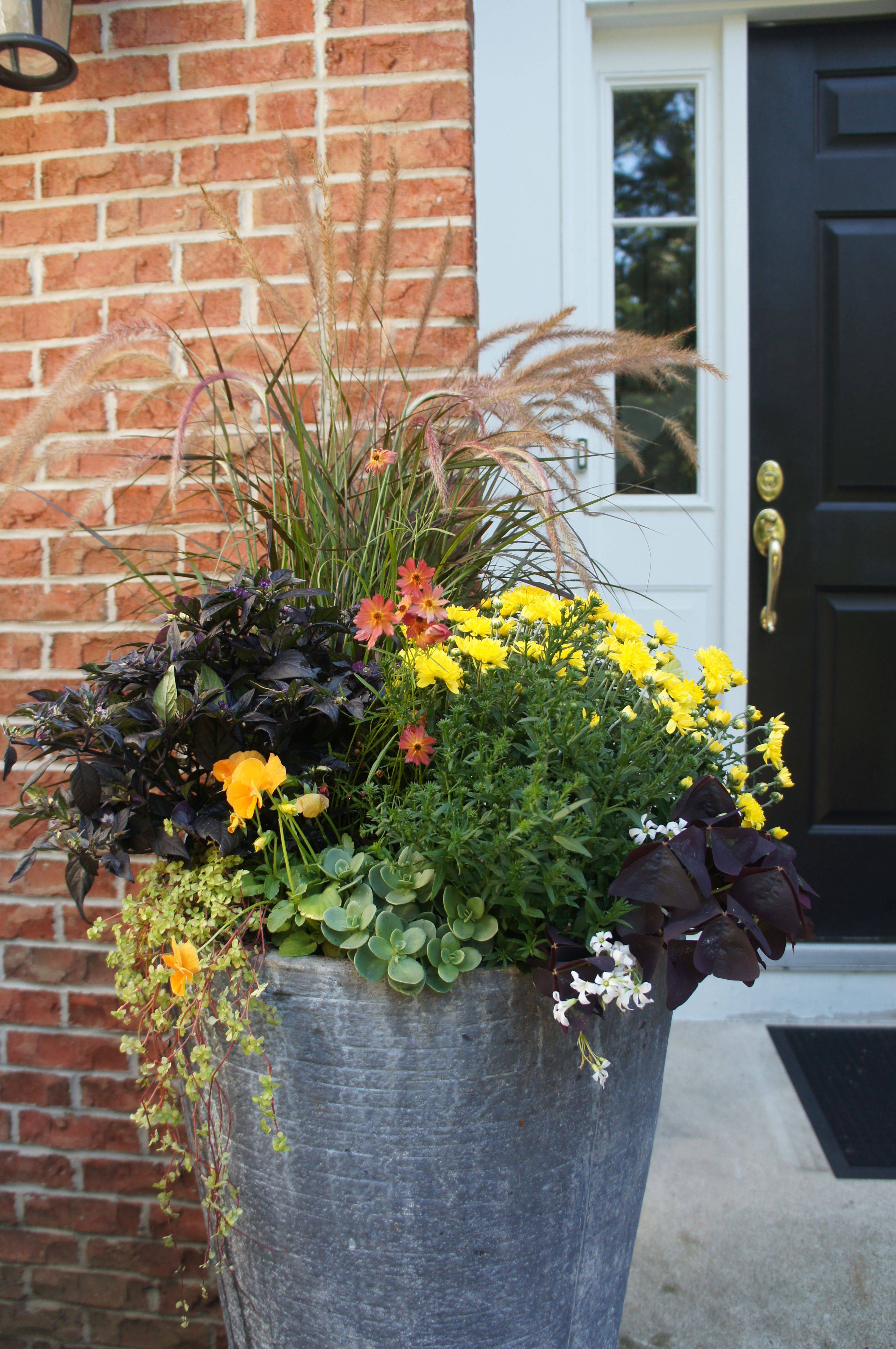 Eclectic Galvanized Metal Planters Galvanized Planters
