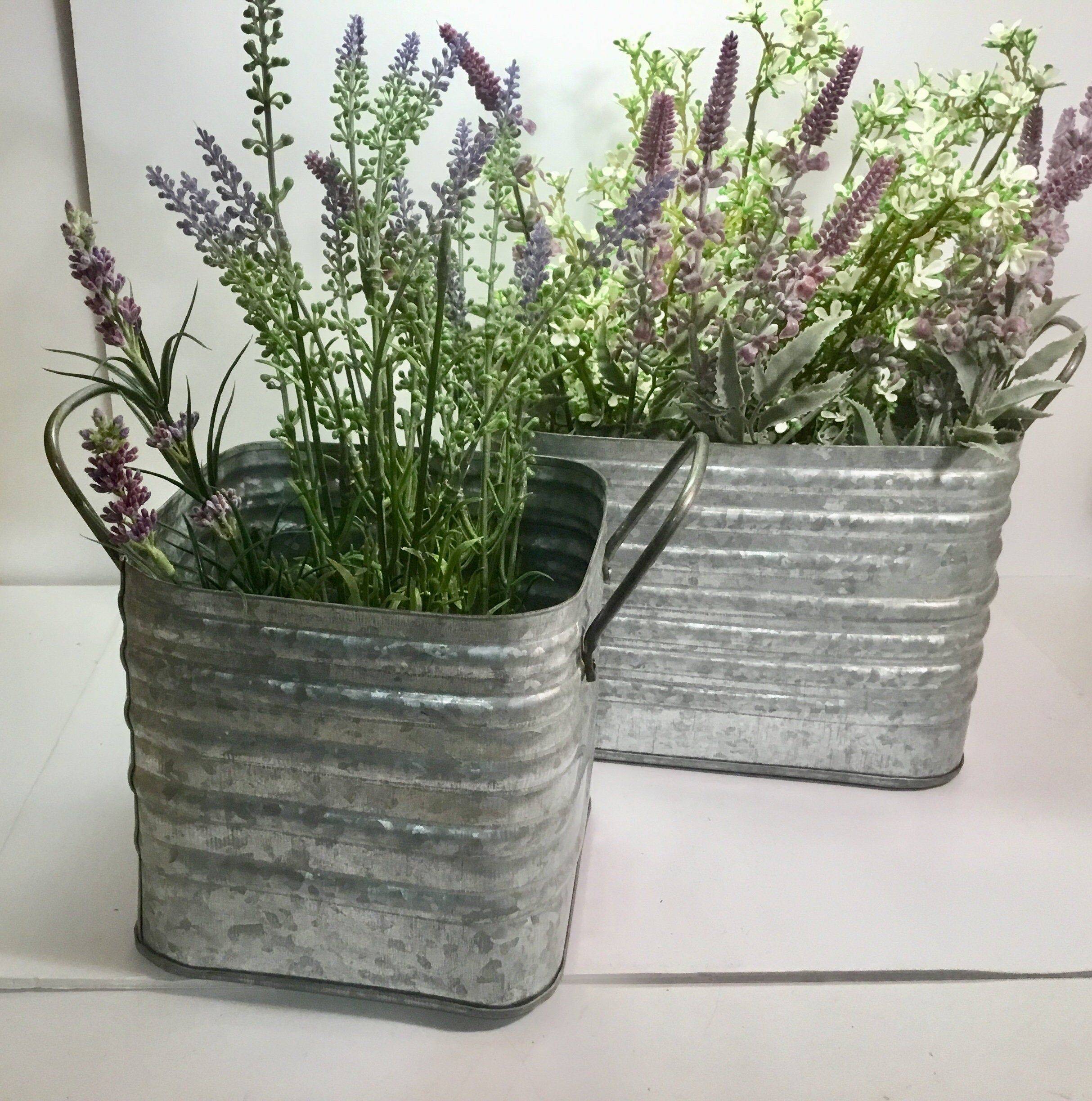 Outdoor Succulent Wall Garden Ideas