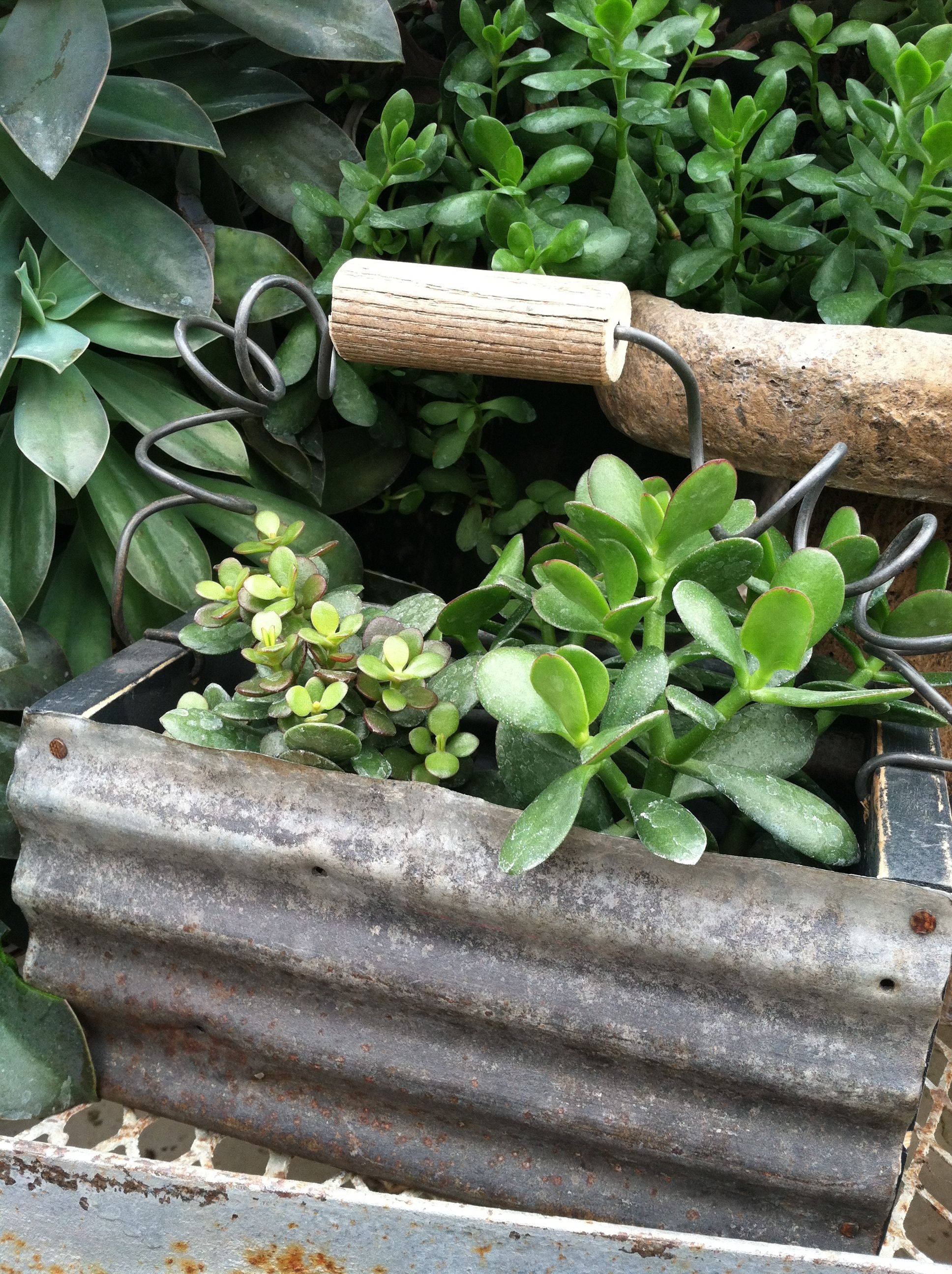 Corrugated Metal Planters