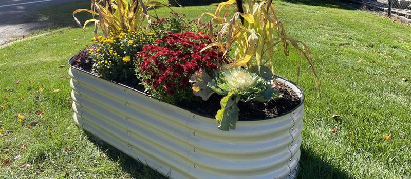 Corrugated Metal Planters Northwestern Gardening Forum Gardenweb